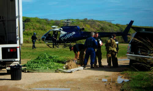 Corindi Beach became the focus of a police cannabis operation yesterday. Corindi Beach became the focus of a police cannabis operation yesterday.